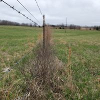 Farm and Hunting Land for Sale in South Central Missouri images 3