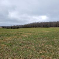 Farm and Hunting Land for Sale in South Central Missouri images 4