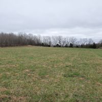 Farm and Hunting Land for Sale in South Central Missouri images 6