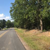 92 ac - Timberland &nbsp; Hunting Tract near Town - PRICE REDUCED