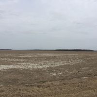 Cropland and Duck Hunting images 5