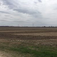 Cropland and Duck Hunting images 6