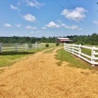 Lodge and 60 acres Martinsville Road images 2