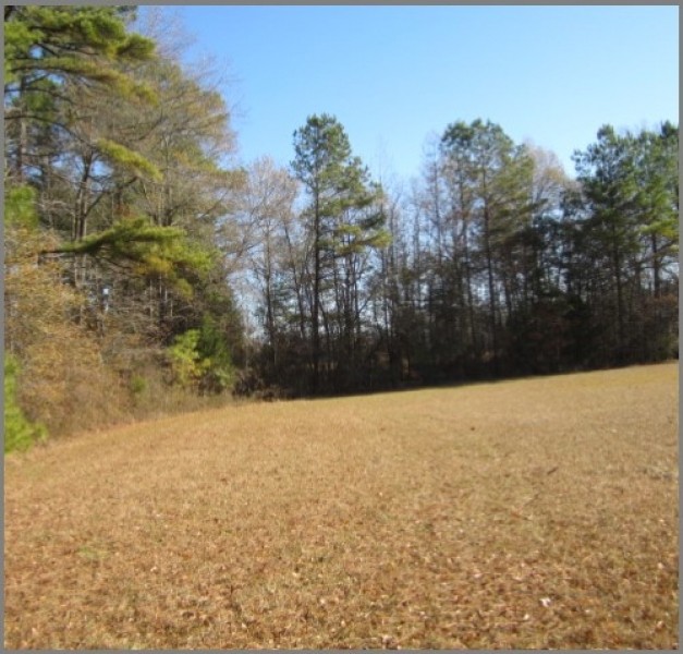 19.2 Acres in Lafayette County in Paris  MS featured image