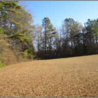 19.2 Acres in Lafayette County in Paris  MS images 1