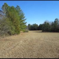 19.2 Acres in Lafayette County in Paris  MS images 2