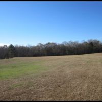 19.2 Acres in Lafayette County in Paris  MS images 4