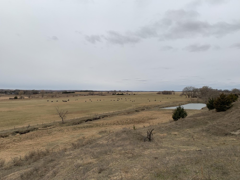 Spring Creek Investment Meadow featured image