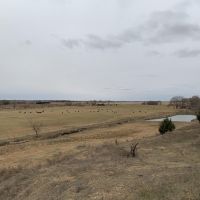 Spring Creek Investment Meadow