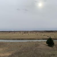 Spring Creek Investment Meadow images 2