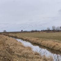 Spring Creek Investment Meadow images 3