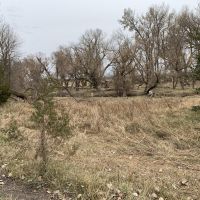 Spring Creek Investment Meadow images 4