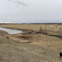 Spring Creek Investment Meadow images 5
