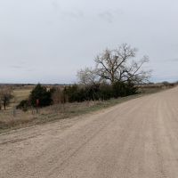 Spring Creek Investment Meadow images 6