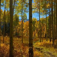 Eagle s Nest Ranch images 2
