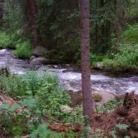 Eagle s Nest Ranch images 3