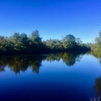 Washington County  NC Hunting Tract with Timber and Ponds images 2