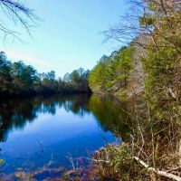 Washington County  NC Hunting Tract with Timber and Ponds