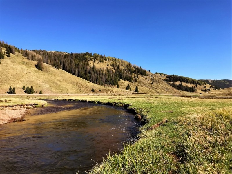 Rio De Los Pinos Ranch featured image