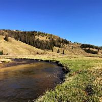 Rio De Los Pinos Ranch