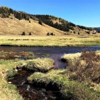 Rio De Los Pinos Ranch images 2