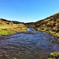 Rio De Los Pinos Ranch images 4