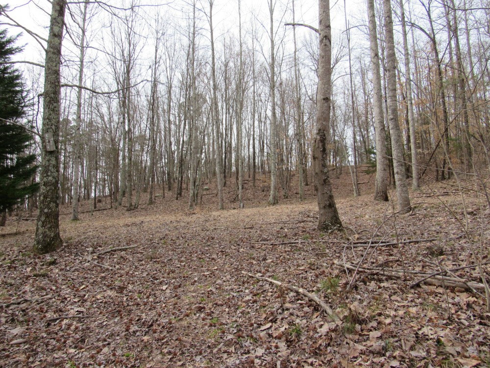 08-044-mcannally-mountain featured image