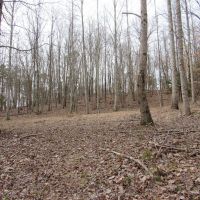 08-044-mcannally-mountain