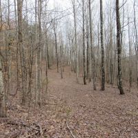 08-044-mcannally-mountain images 3
