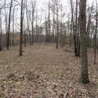 08-044-mcannally-mountain images 5