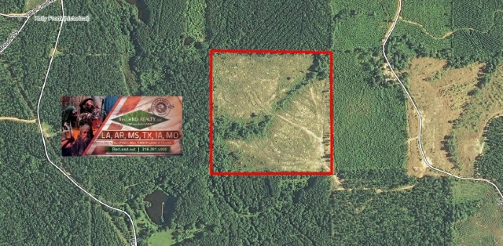 40 ac - Pine Plantation &nbsp; Hunting Tract - PRICE REDUCED featured image