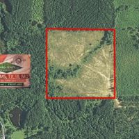 40 ac - Pine Plantation &nbsp; Hunting Tract - PRICE REDUCED