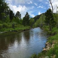 Pole Mountain Ranch images 2