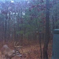 62-011-town-creek-170