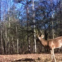 62-011-town-creek-170 images 2