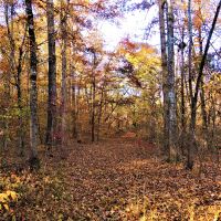 62-011-town-creek-170 images 3