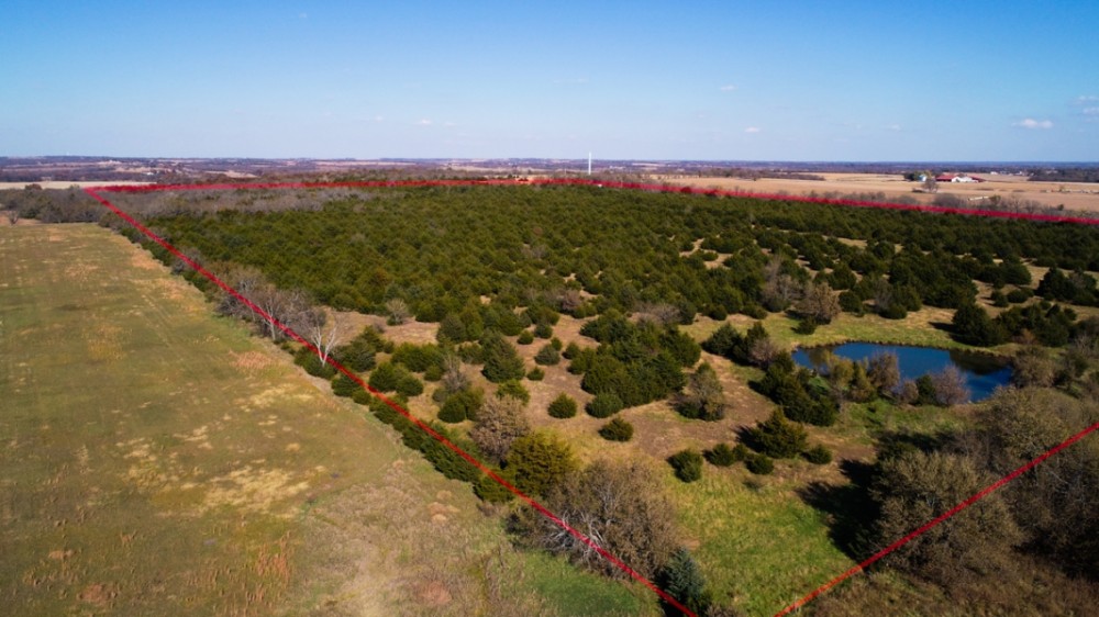 Heavily wooded 70 acres at Melvern Lake Hunting Land for Sale