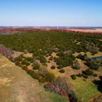 Heavily wooded 70 acres at Melvern Lake