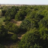 Heavily wooded 70 acres at Melvern Lake images 2