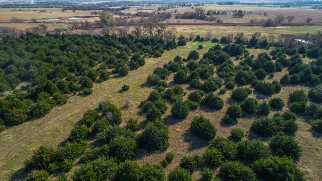 Heavily wooded 70 acres at Melvern Lake Hunting Land for Sale
