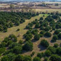 Heavily wooded 70 acres at Melvern Lake images 3