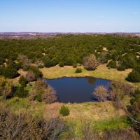 Heavily wooded 70 acres at Melvern Lake images 4