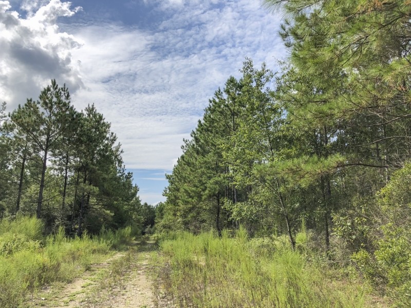 422 Acres &nbsp; Cleveland &nbsp; Worsham featured image
