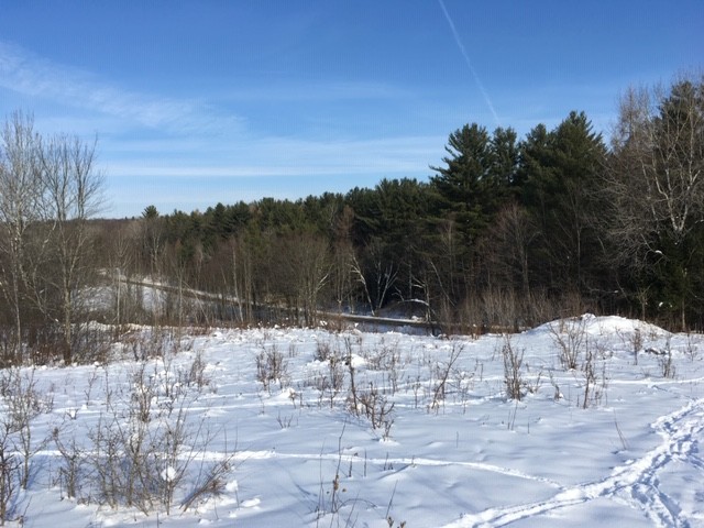 5 acres Scenic Off Grid Building Site Florence NY featured image