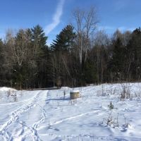5 acres Scenic Off Grid Building Site Florence NY images 6