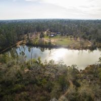 41 Acres &nbsp; Sterling Ranch &nbsp; FM 1097