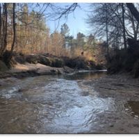 80 Acres in Webster County in Eupora  MS images 3