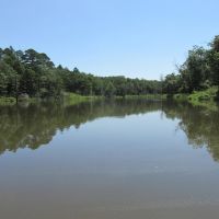 Peach Creek Luxury Log Home-jc images 4