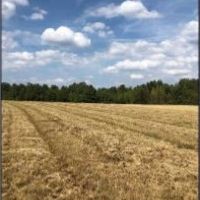 204.9 Acres in Lafayette County in Abbeville  MS images 1