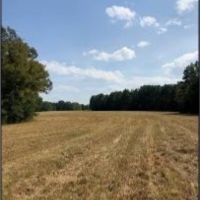 204.9 Acres in Lafayette County in Abbeville  MS images 2